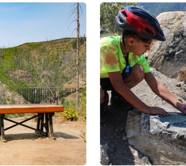 Myra Canyon Bicycle Rental and Tours