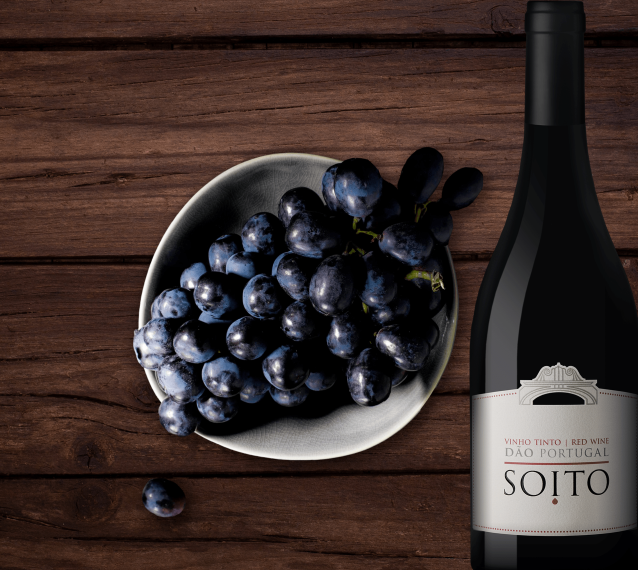 Soito Wines