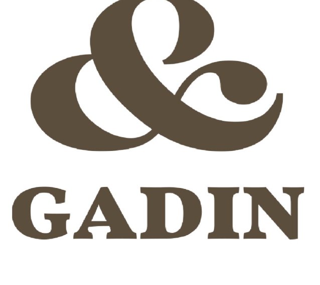Gadin