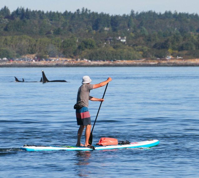 South Island SUP