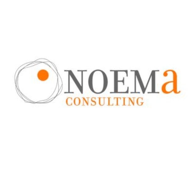 Noema consulting