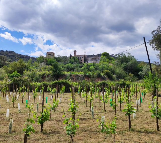 Vall de Betlem - Enocultura cooperativa