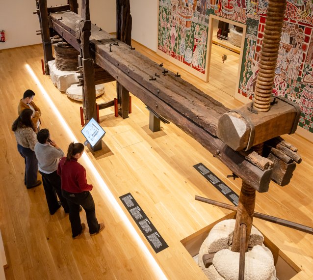 Vinseum. Museu de les cultures del vi de Catalunya