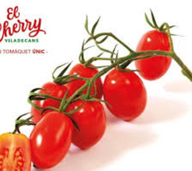 GREMI D'HOSTALERIA DE VILADECANS