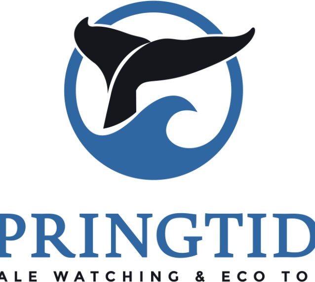 SpringTide Whale Watching & EcoTours