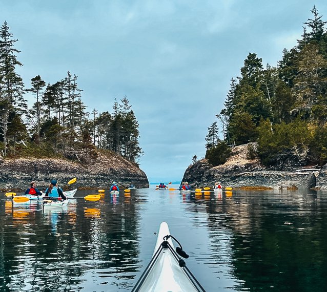 North Island Kayak