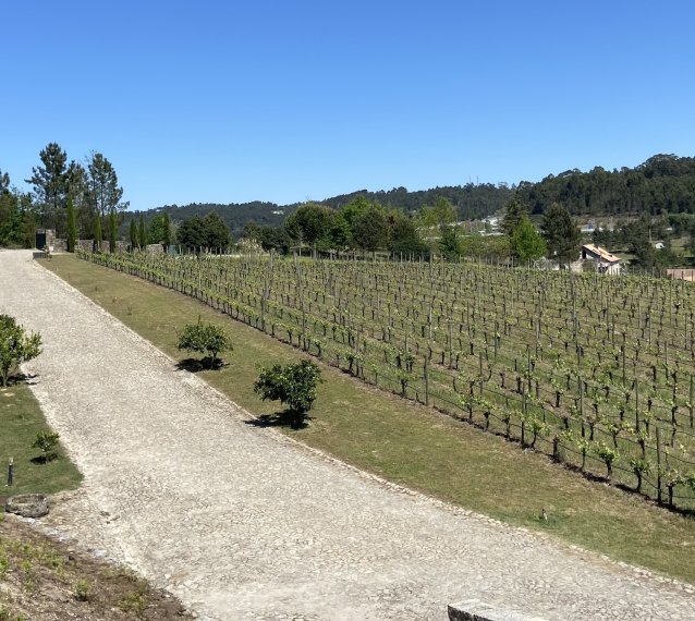 QUINTA DO MEDRONHEIRO - Hotel Rural