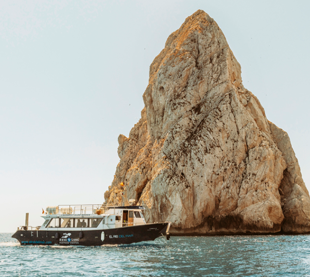 El Rei del Mar