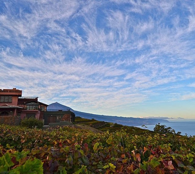 Bodegas Monje