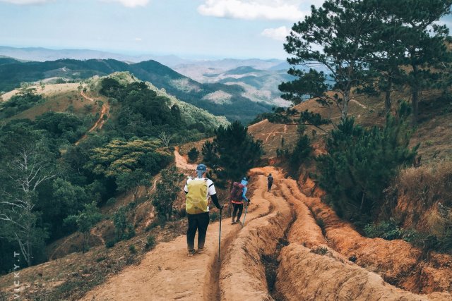 旅游经营者 - 导游管理公司和法。教学法