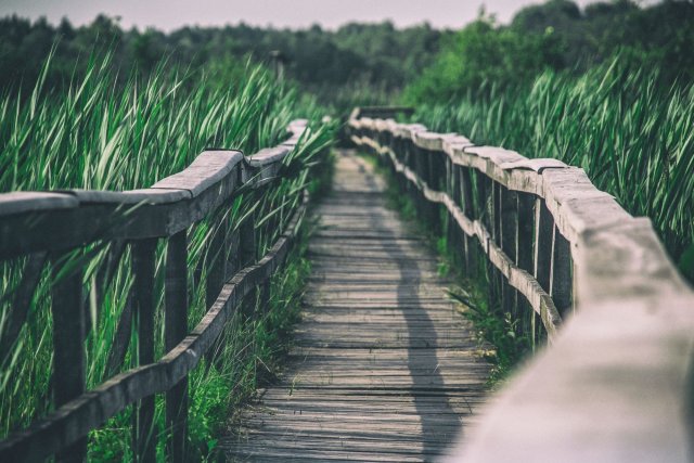 Llocs i centres d’interès turístic - Espais naturals d'ús públic