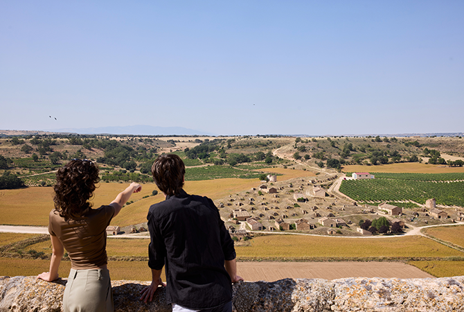 Ruta del Vino Ribera del Duero