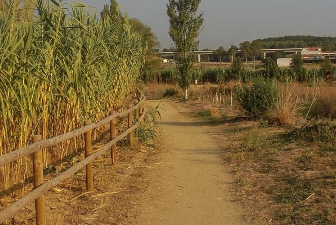 Vilanova del Vallès