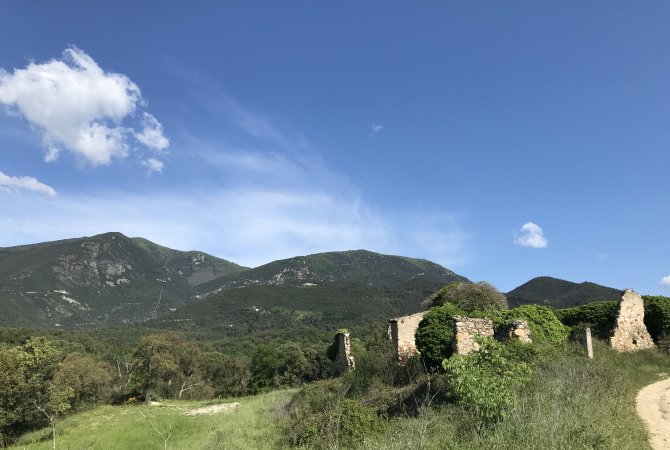 Gualba