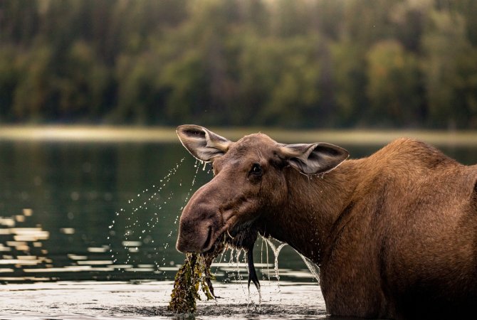 Cariboo Chilcotin Coast Tourism Association