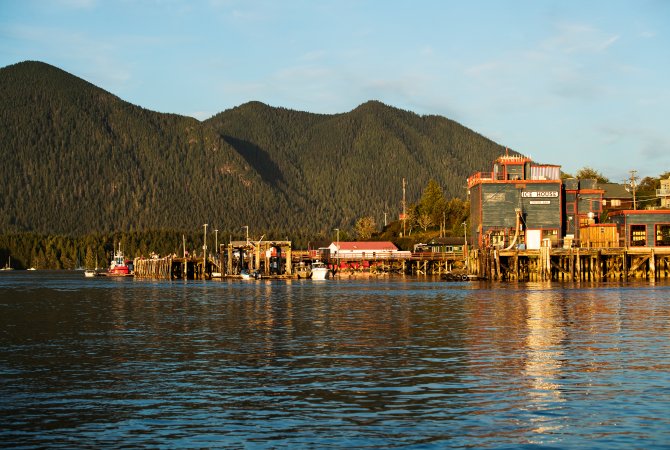 Tofino