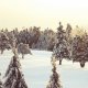 Traveling to Quebec? Check out these three accommodations with sustainable practices.
