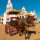County of Doñana: Sustainable Businesses as a Driver of Change