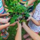 Educational adventure in Barcelona and sustainable school experiences in nature