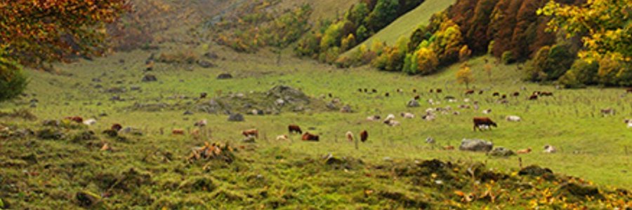 Nature, culture, and sustainability in the heart of the Pyrenees and the Lands of Lleida