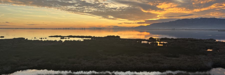 El Delta del Ebro: ¿un ecosistema único al borde de la desaparición?