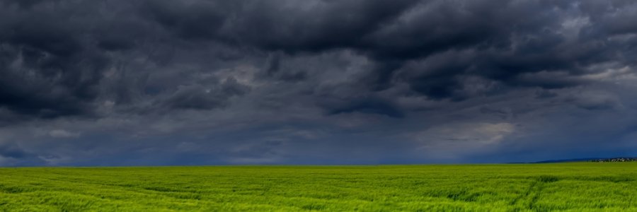 Conscious actions for a more sustainable planet