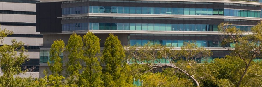 Decarbonize, Yes, but Through Comprehensive and Sustainable Management