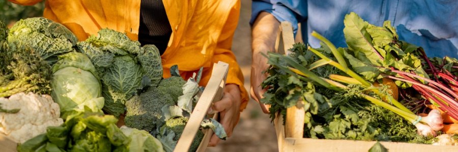 Small Decisions That Transform Your Life Toward a More Sustainable Lifestyle